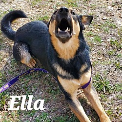 Thumbnail photo of Ella JuM #3
