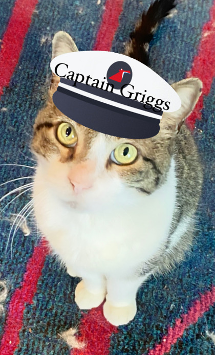 Photo of Captain Griggs