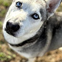 Maggie Mae