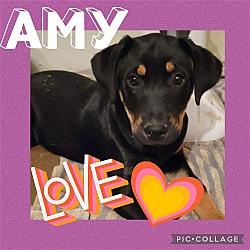 Photo of Amy