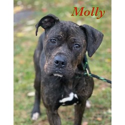 Photo of MOLLY