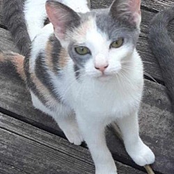 Photo of Lexie