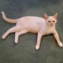 Photo of Kailani
