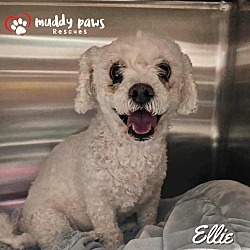 Thumbnail photo of Ellie #1