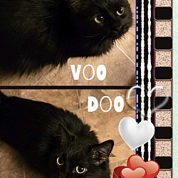 Photo of Voo Doo