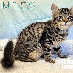 Thumbnail photo of Dimples #1