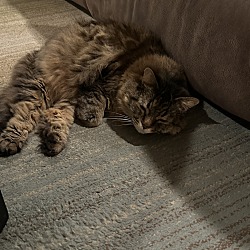Photo of Tony