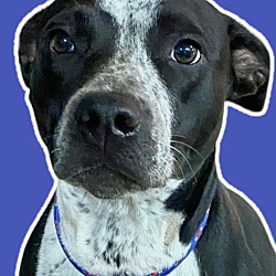 Photo of Chloe