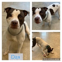 Photo of DAX