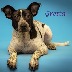 Photo of Gretta (D24-079)