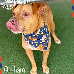 Thumbnail photo of GRAHAM #2