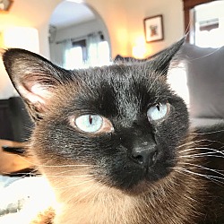 Photo of Louise