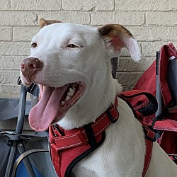 Photo of Lilah
