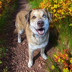 Photo of SIMBA