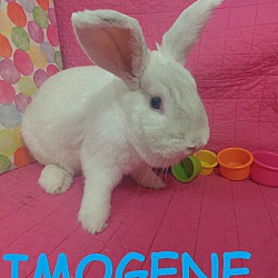 Thumbnail photo of Imogene #1