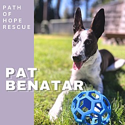 Thumbnail photo of Pat Benatar #1