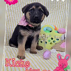 Photo of Kieko
