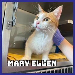 Thumbnail photo of Mary Ellen #1