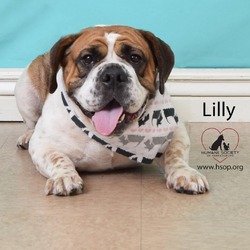 Thumbnail photo of Lilly #2