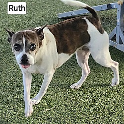 Thumbnail photo of Ruth #3