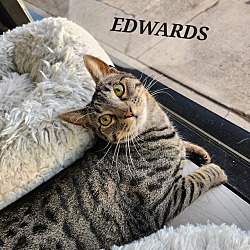 Photo of Edwards