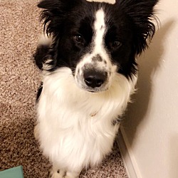 Photo of Flex