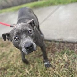 Photo of Sarasota