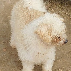 Photo of Spirit