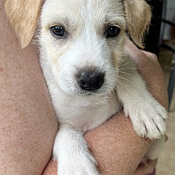 Photo of Asher