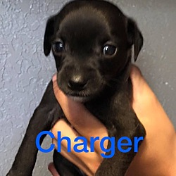 Photo of Charger