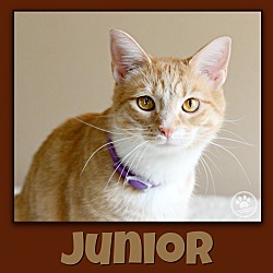 Thumbnail photo of Junior #1