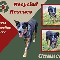 Photo of Gunner (Recycle)