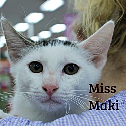 Thumbnail photo of Miss Maki #2