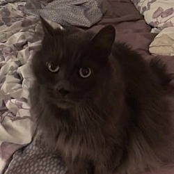 Photo of Sam 