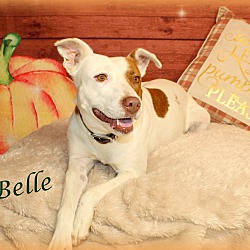 Thumbnail photo of Belle~adopted! #4