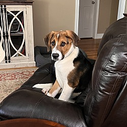 Photo of Remington