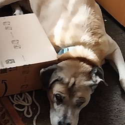 Photo of Duke