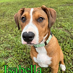 Thumbnail photo of Isabella #4