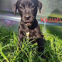 Thumbnail photo of Keziah #3