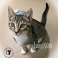 Photo of Jamison