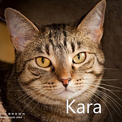 Photo of Kara