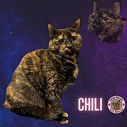 Photo of Chili