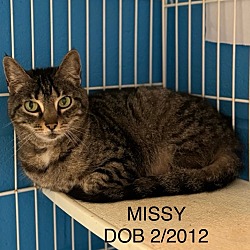 Thumbnail photo of Missy #2