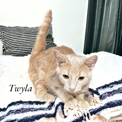Photo of Twyla