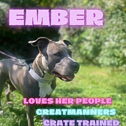 Thumbnail photo of Ember #2