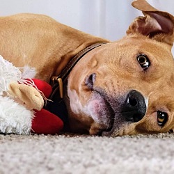 Photo of Macy