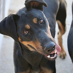 Thumbnail photo of Lainey #3