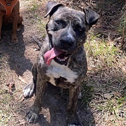 Photo of Clipper