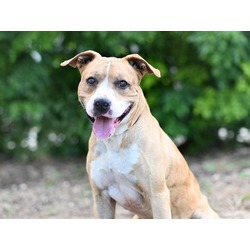 Photo of LOUIE