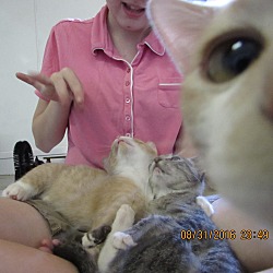 Thumbnail photo of BUTTERS #2